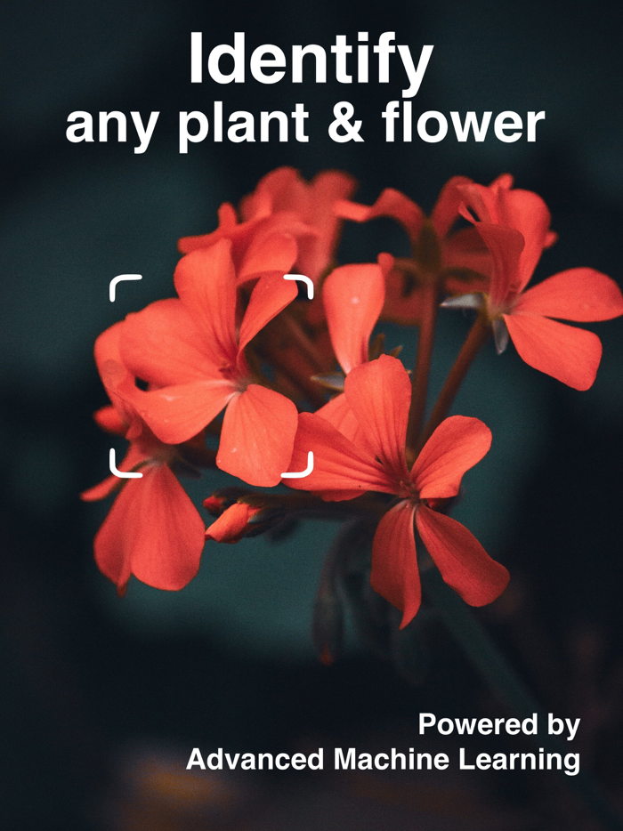 Plant Identifier - Scan Flower