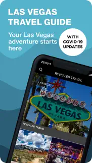 las vegas revealed problems & solutions and troubleshooting guide - 3