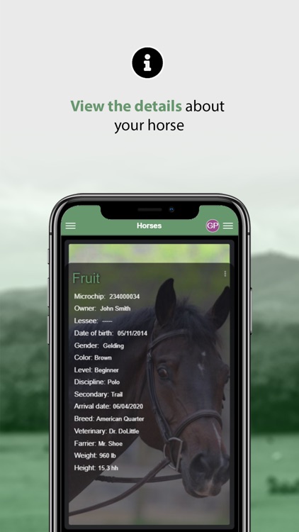 Horse-Tender screenshot-3
