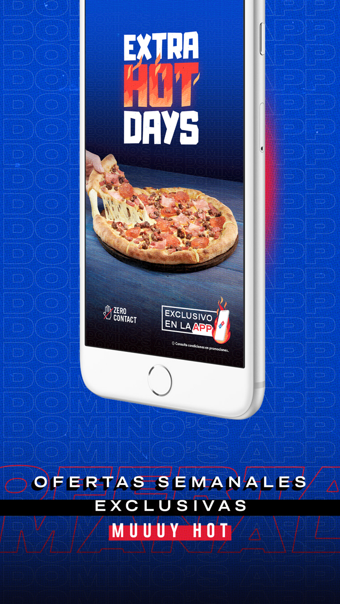 Dominos Pizza