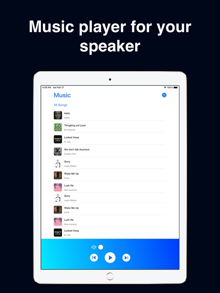 Speaker Controller  Live Mic