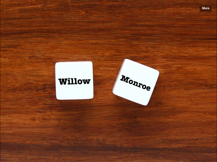 Name Dice by Thinkamingo