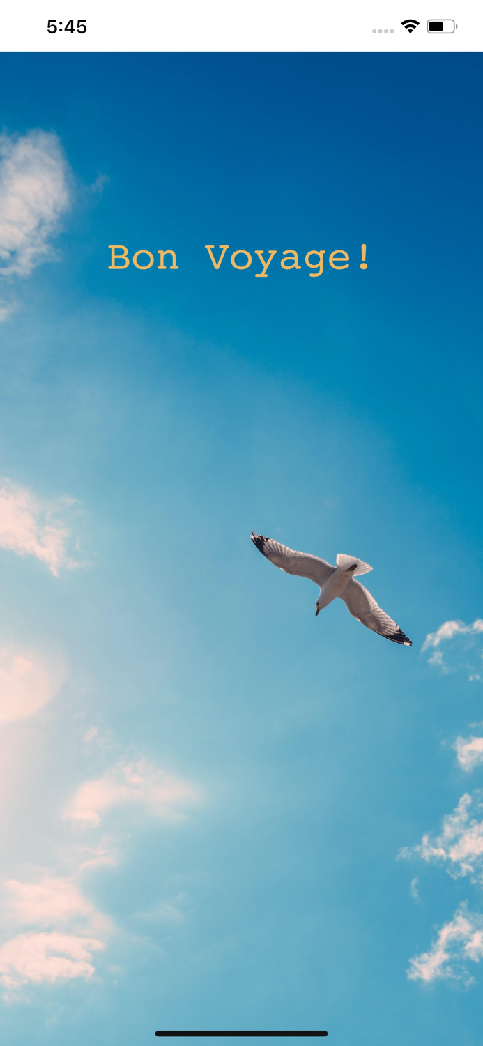 Bon Voyage