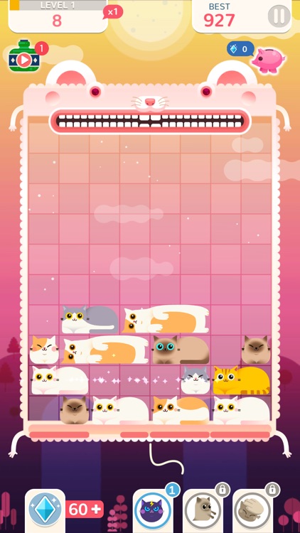 Slidey Cat : Puzzle Game