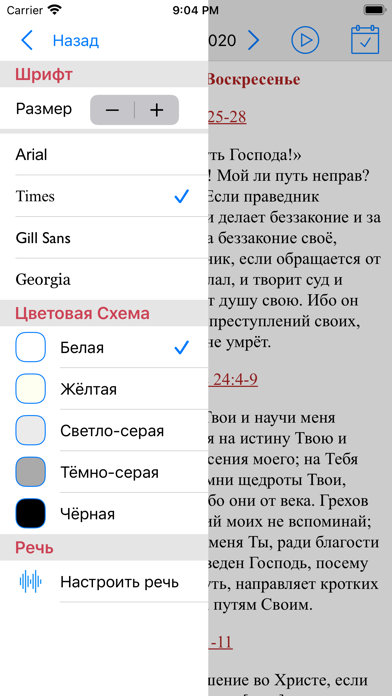 Лекционарий screenshot 4