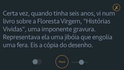 O Prinzipezinho - Audiolivro screenshot 4