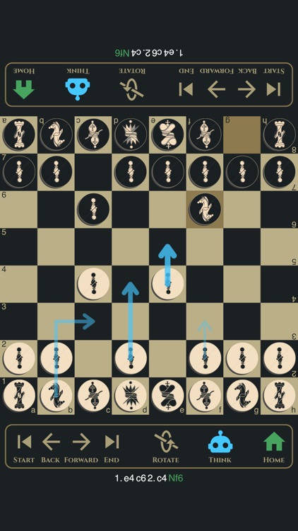 Two Player Chess Basic screenshot-5