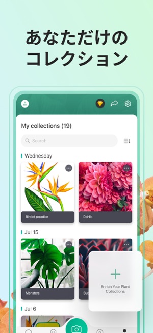 Picturethis 撮ったら 判る 1秒植物図鑑 をapp Storeで