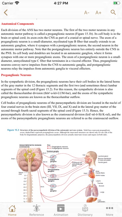 Anatomy at a Glance screenshot-6