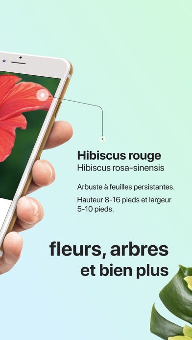 PictureThis-Identifier Plantes PictureThis-Identifier Plantes
