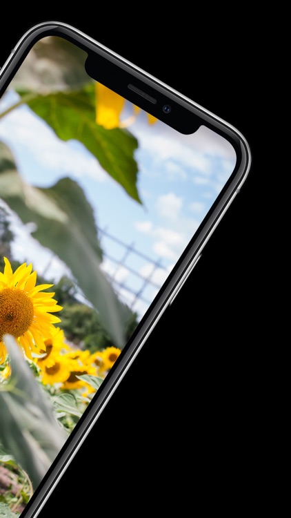 壁纸大全-超高清手机壁纸大全