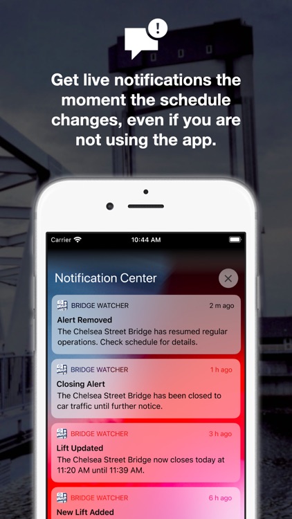 BridgeWatcher screenshot-4