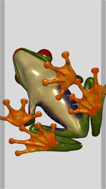 3D Frog Skeleton screenshot-6