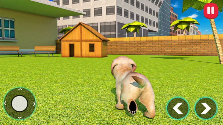 Pet Dog: Virtual Family