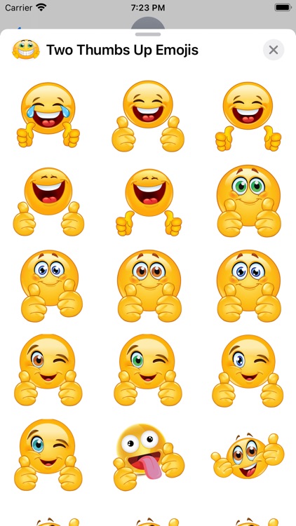 Two Thumbs Up Emojis screenshot-3