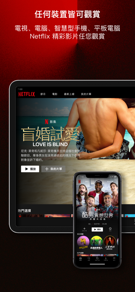 Netflix - translation missing: en.components.sidebar.views.overview