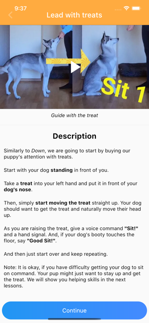 Pocket Puppy School(圖6)-速報App