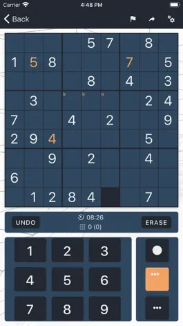 Game screenshot Big Brain Sudokus apk