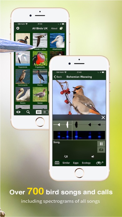 How to cancel & delete All Birds UK - A Complete Field Guide to the Official List of Bird Species Recorded in Great Britain and Northern Ireland from iphone & ipad 3