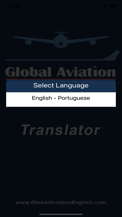 Av Eng Translator screenshot 2