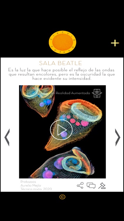 Circulo Dorado AR screenshot-7