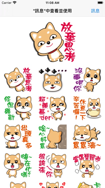 Q柴犬