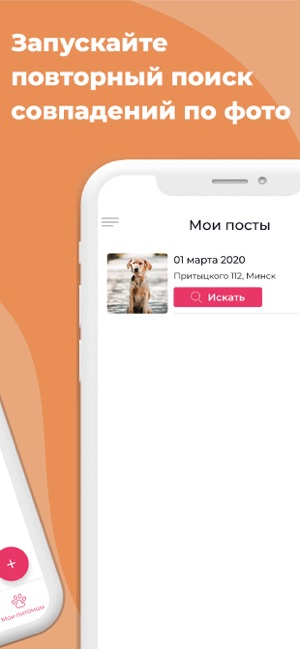 Petsi Поиск пропавших животных(圖8)-速報App