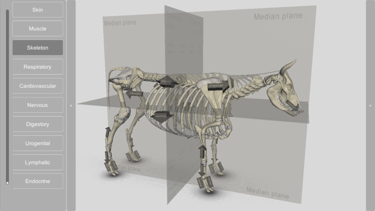 3D Bovine Anatomy screenshot-4