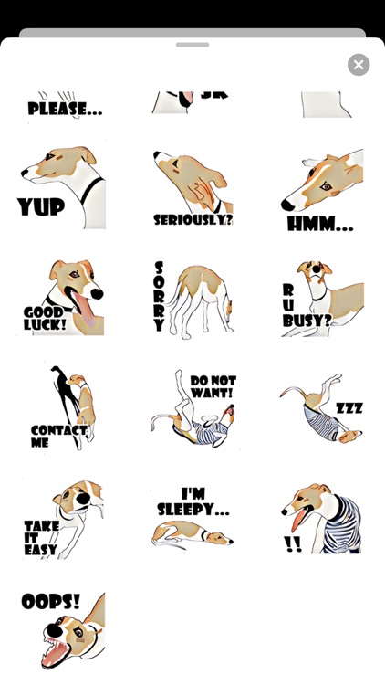 English Whippet Dog Sticker screenshot-3
