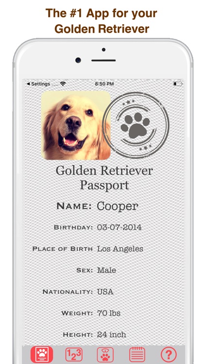 My Golden Retriever