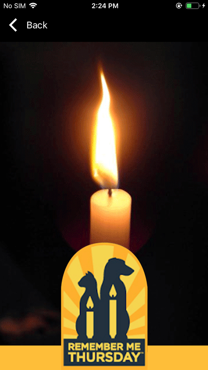 Remember Me Thursday