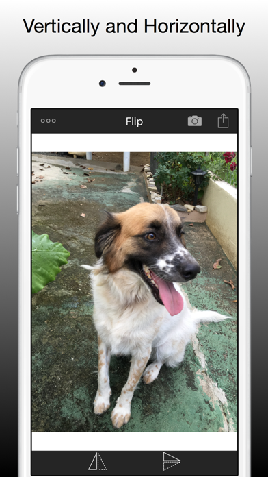 How to cancel & delete Flip Photos from iphone & ipad 2