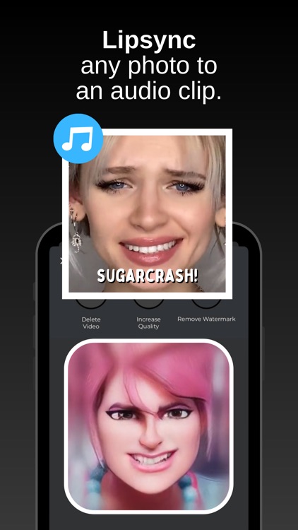 TokkingHeads: Portrait Video