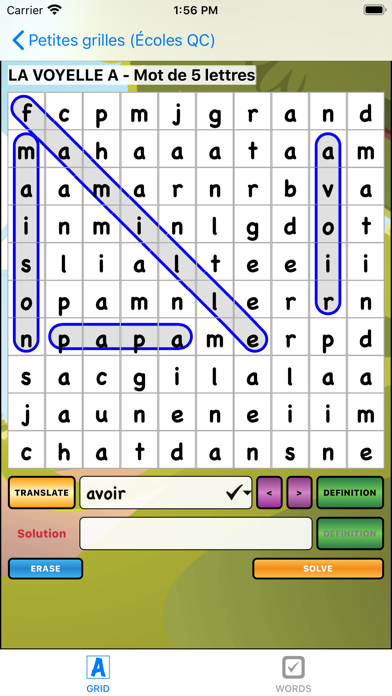 Word Search & Definition (DX) screenshot 3