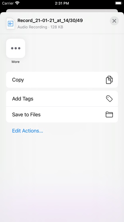 Audio Recorder for iPhone screenshot-4