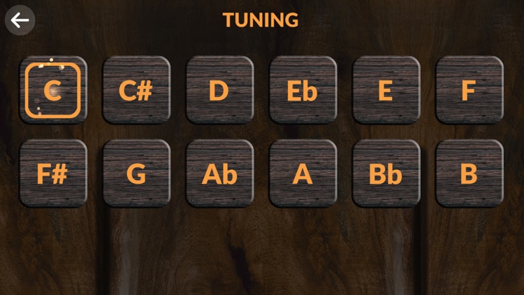 Real Kalimba screenshot-4