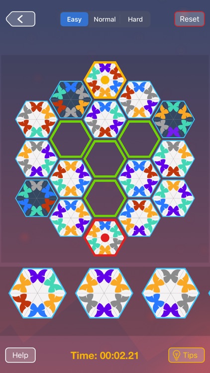 Butterfly Effect Puzzle