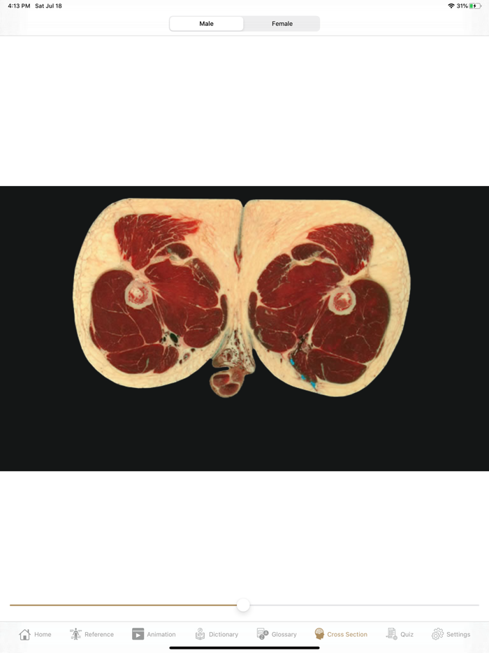 Fundamental Physiology