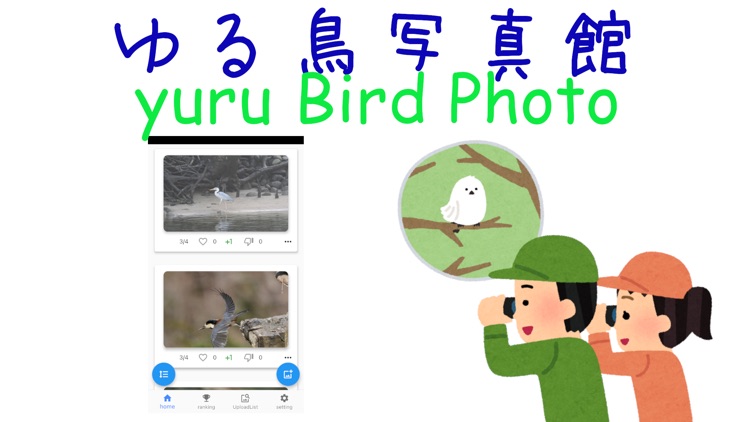 yuru Bird Photo