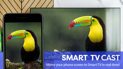 Smart TV Cast - Screen Mirrorのおすすめ画像7