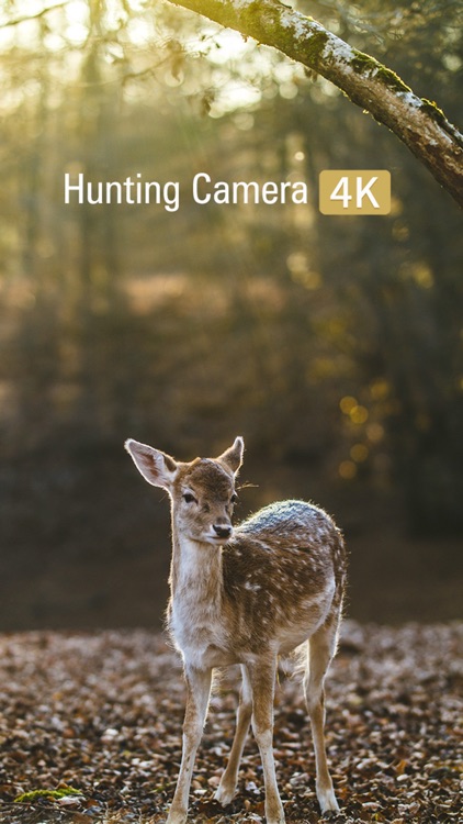 Hunting Camera 4K