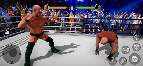 Tips and Tricks for Wrestling Revolution Mayhem 3D