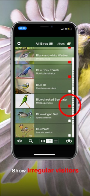 All Birds UK - the Photo Guide(圖5)-速報App
