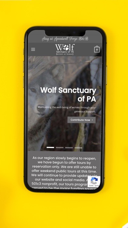 Wolf Sanctuary of PA