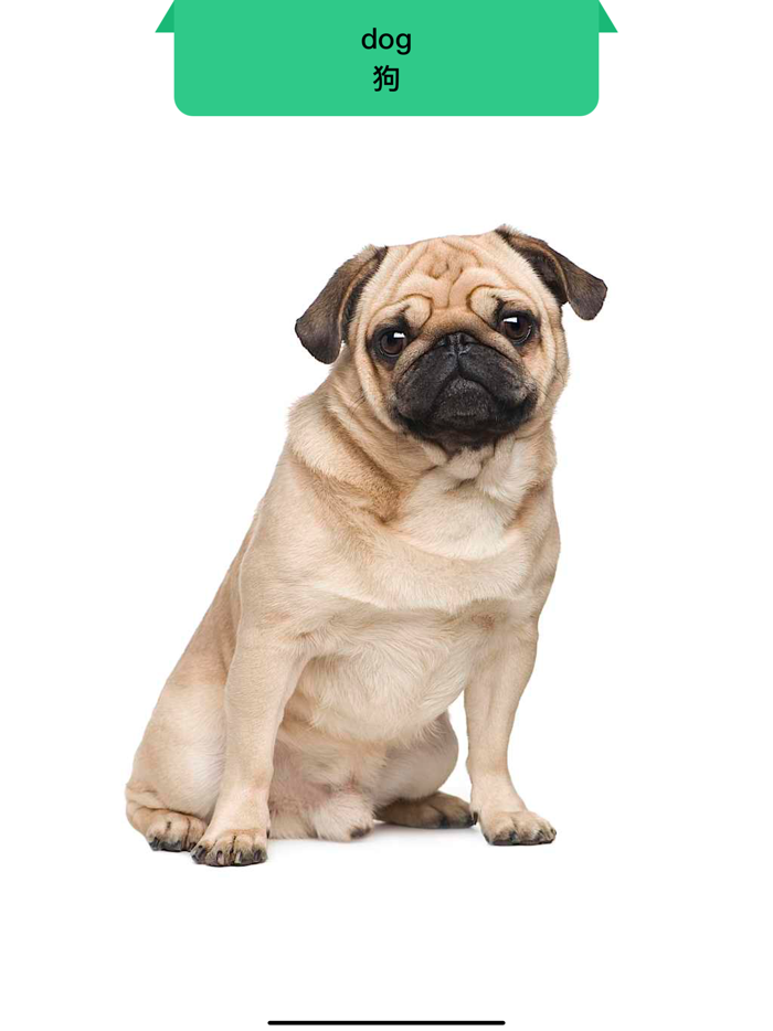 学英语学思维数学-早教算术逻辑等智力启蒙