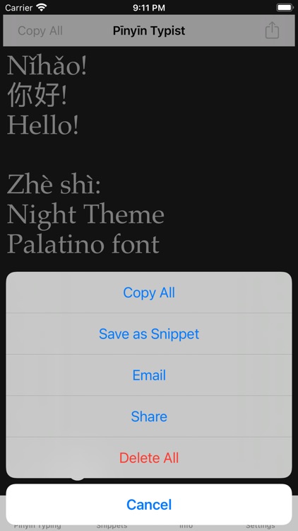 Pinyin Typist screenshot-4