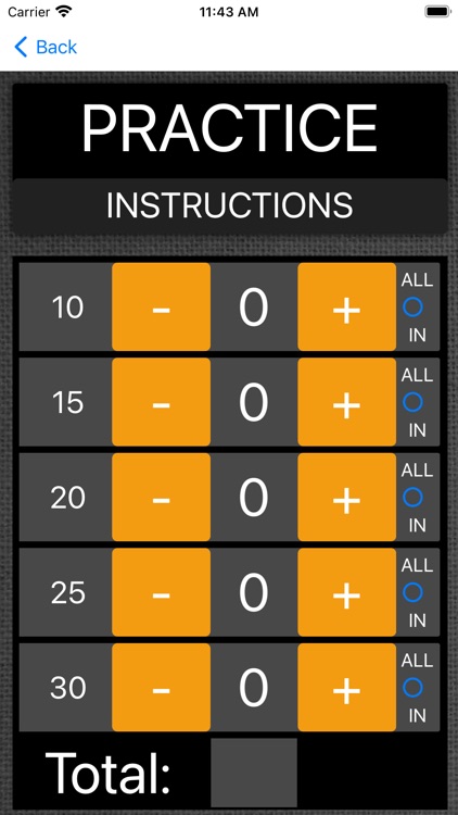 Practice Putt Disc Golf Pro