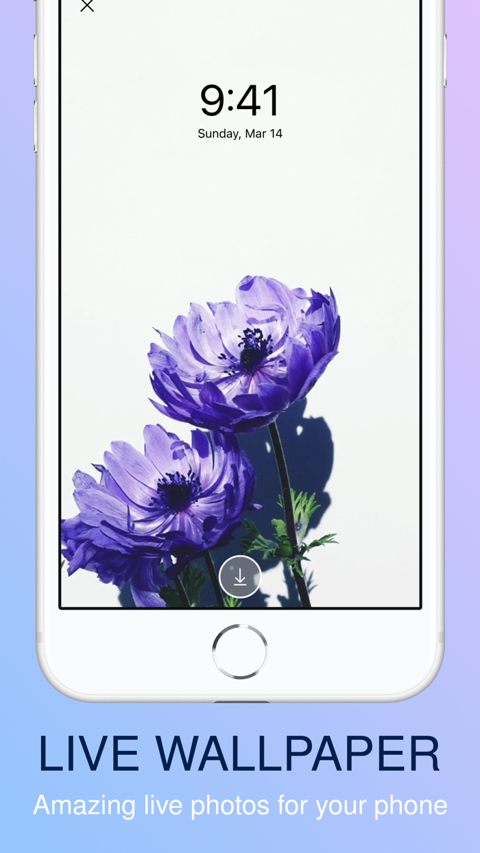 toV - live wallpapers  videos