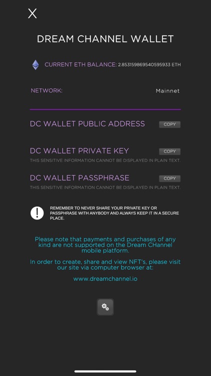 Dream Channel screenshot-3