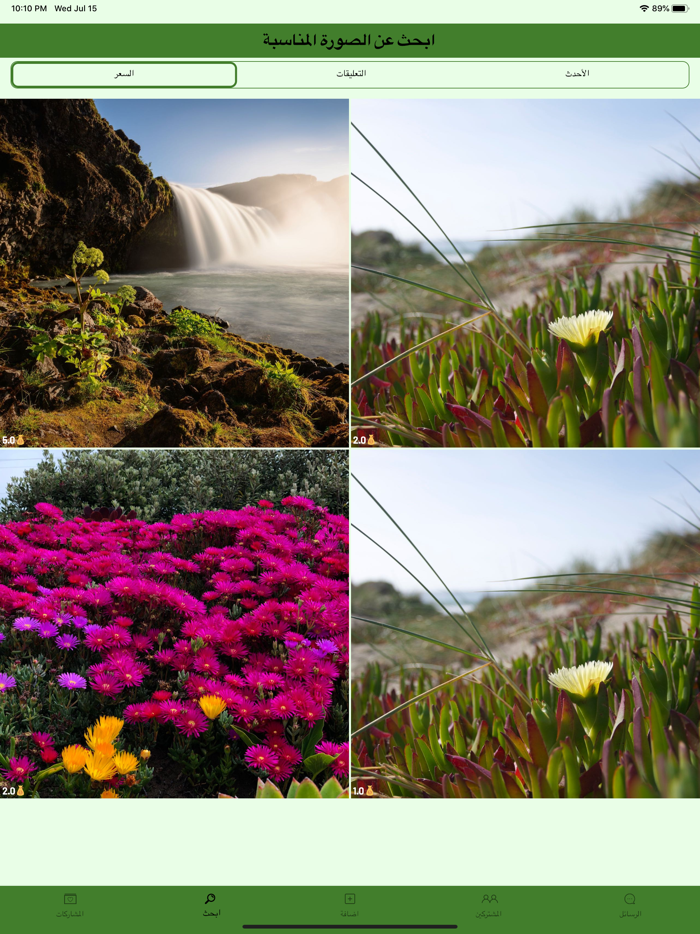 تعارف السعودية